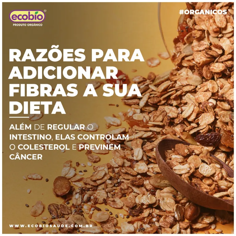 Razões para adicionar fibras a sua dieta